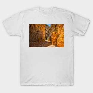 Lick Wash Trail Hike T-Shirt